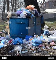 Best Recycling Services for Junk  in Shelburne Falls, MA